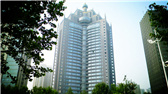 洛陽(yáng)開(kāi)元礦業(yè)集團(tuán)有限公司，始成立于2006年，主營(yíng)業(yè)務(wù)涵蓋礦產(chǎn)品貿(mào)易、礦山開(kāi)發(fā)、酒店服務(wù)、房地產(chǎn)開(kāi)發(fā)和金融投資等，集團(tuán)位于洛陽(yáng)市開(kāi)元大道世貿(mào)中心；中國(guó)民主建國(guó)會(huì)會(huì)員、青年企業(yè)家許明月先生是公司創(chuàng)始人和實(shí)際控制人，目前任洛陽(yáng)開(kāi)元礦業(yè)集團(tuán)有限公司董事長(zhǎng)兼總經(jīng)理。